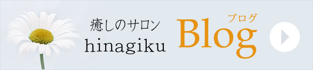 癒しのサロン　hinagiku のブログ