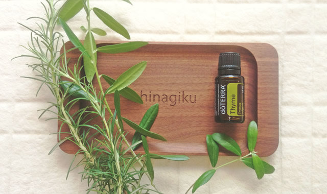 hinagikuについて