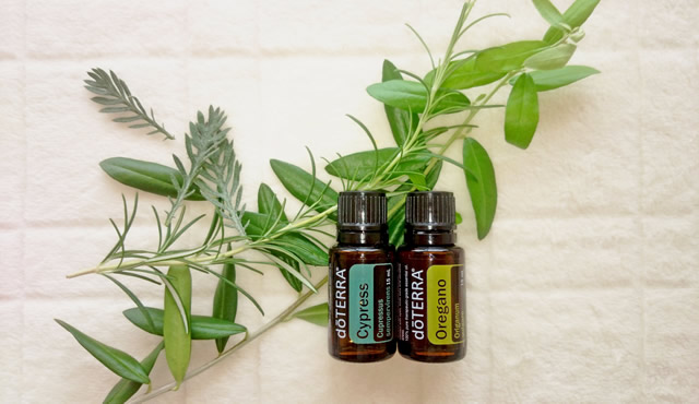 オイルについて